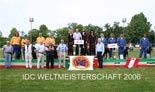 IDC_2006_lagsilver