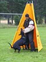 Dobfancier's Regiuz bevakning