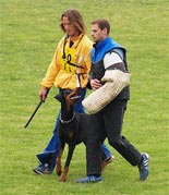 Dobfanciers Rezon