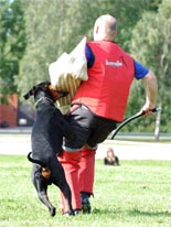 Dobfancier's Rezon SM 2007