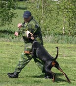 Dobfancier's Ruzka
